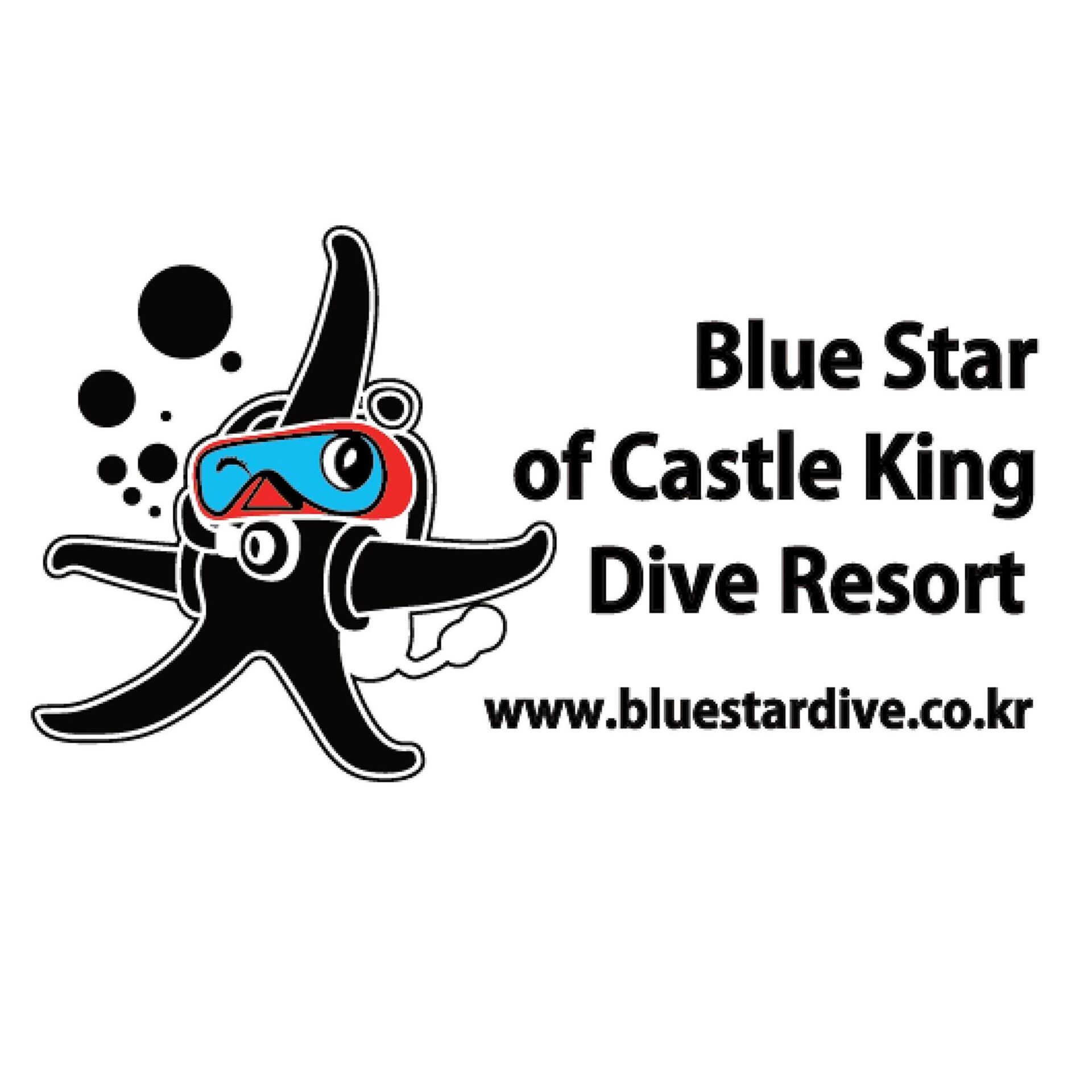 블루스타(BLUE STAR)