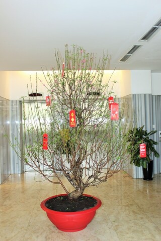 리버티 호텔 사이공 그린뷰