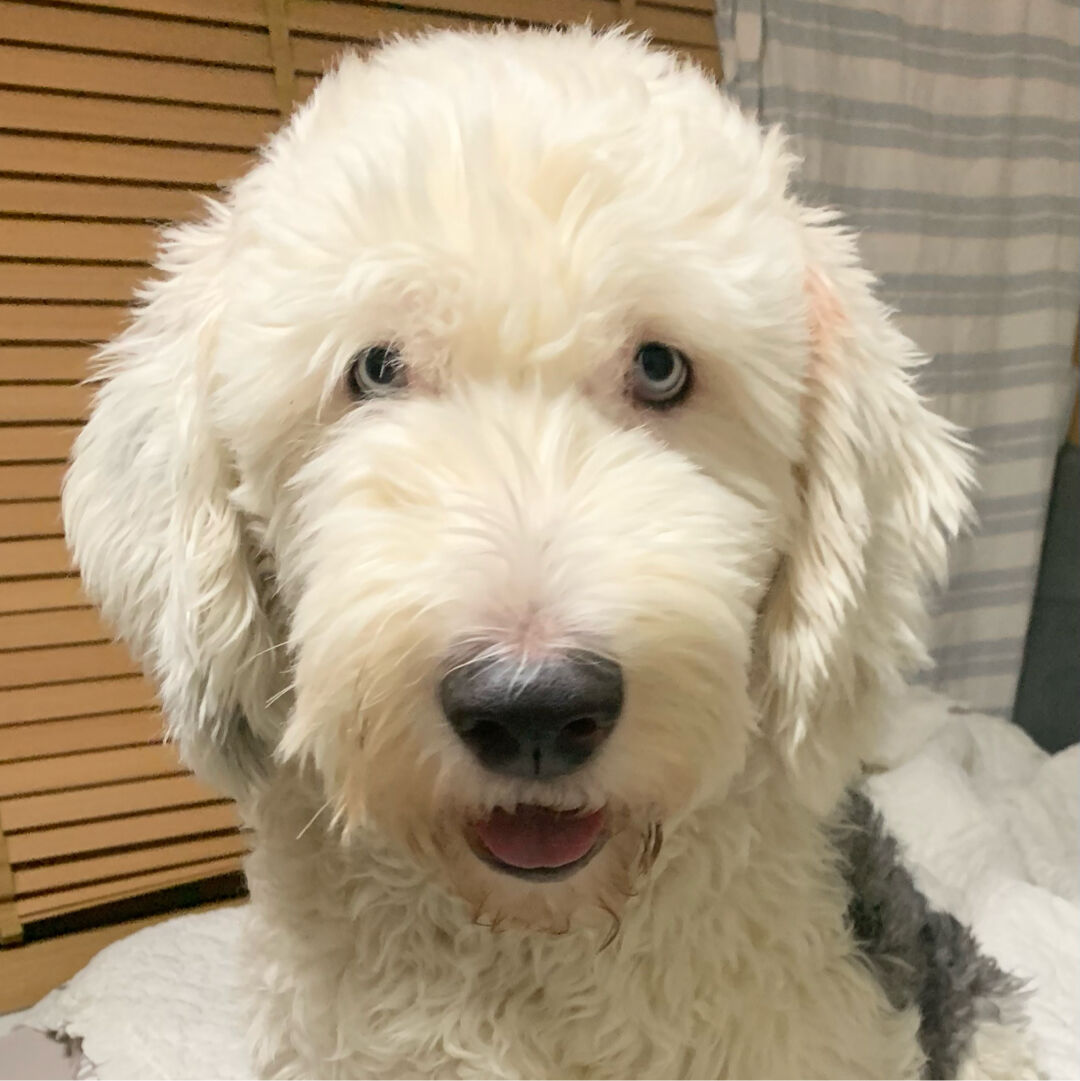 profile-image