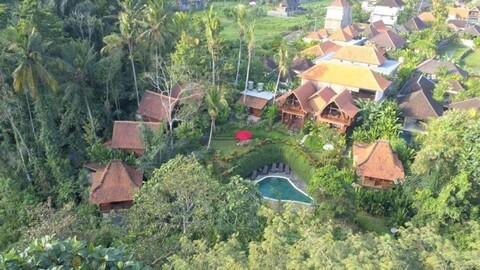 The Jungle Villa Ubud