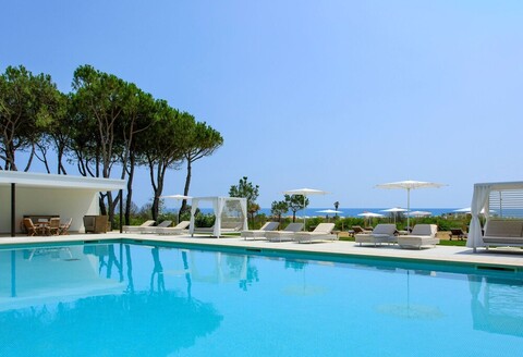 벨뷰 호텔 & 리조트