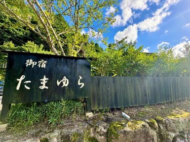 Oyado Tamayura 18 years or older