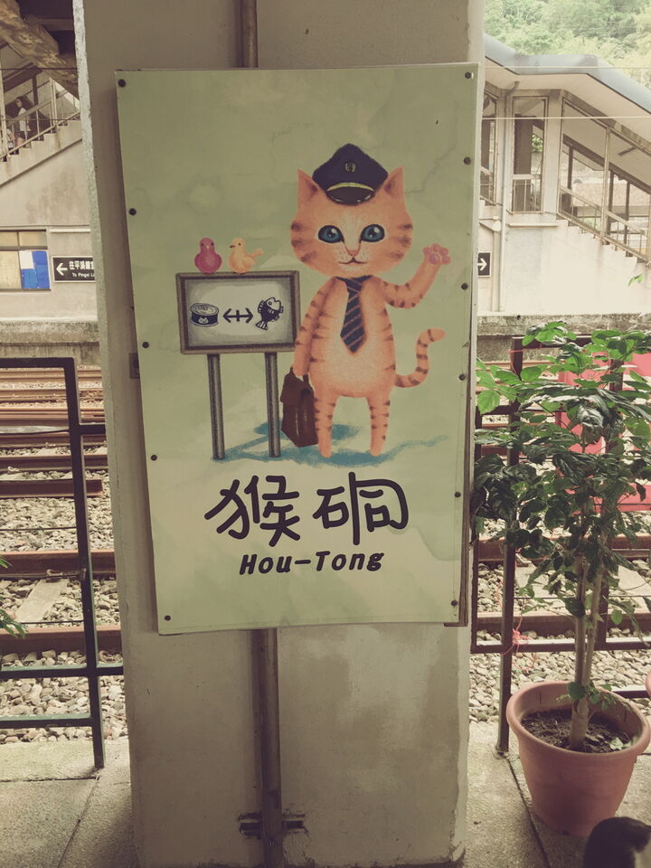[10시출발/예스허진지] 대만버스투어 야경 고양이마을 한국어가이드 야시장하차 시먼역/메인역-i