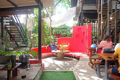 더 레이지 도그 B&B