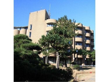 Hotel Tetra Resort Shizuoka Yaizu - Vacation STAY 35243v