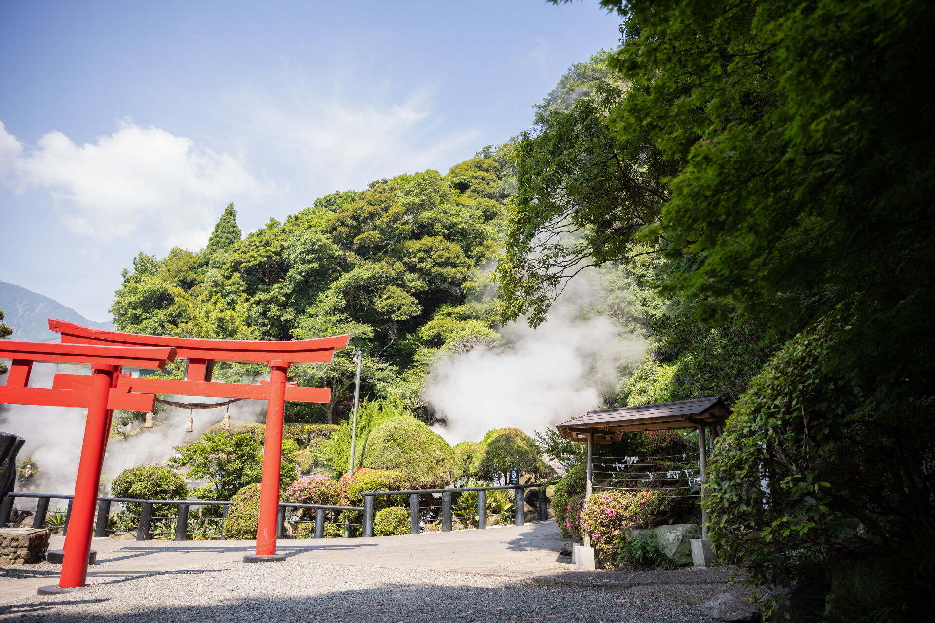 아랑파파 (studio bonobo)