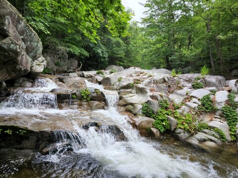 고성 자연애민박펜션