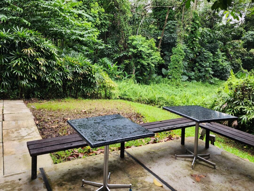 싱가포르-맛집8