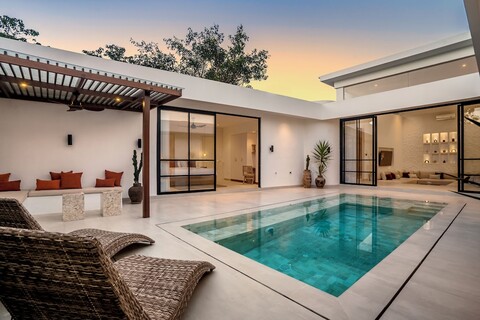 앨프레드의 바리에서의 살구집