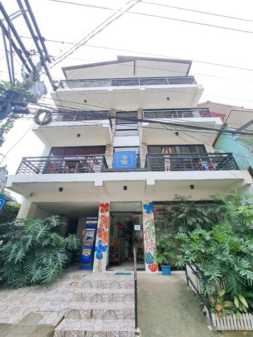 버지니아 스위트