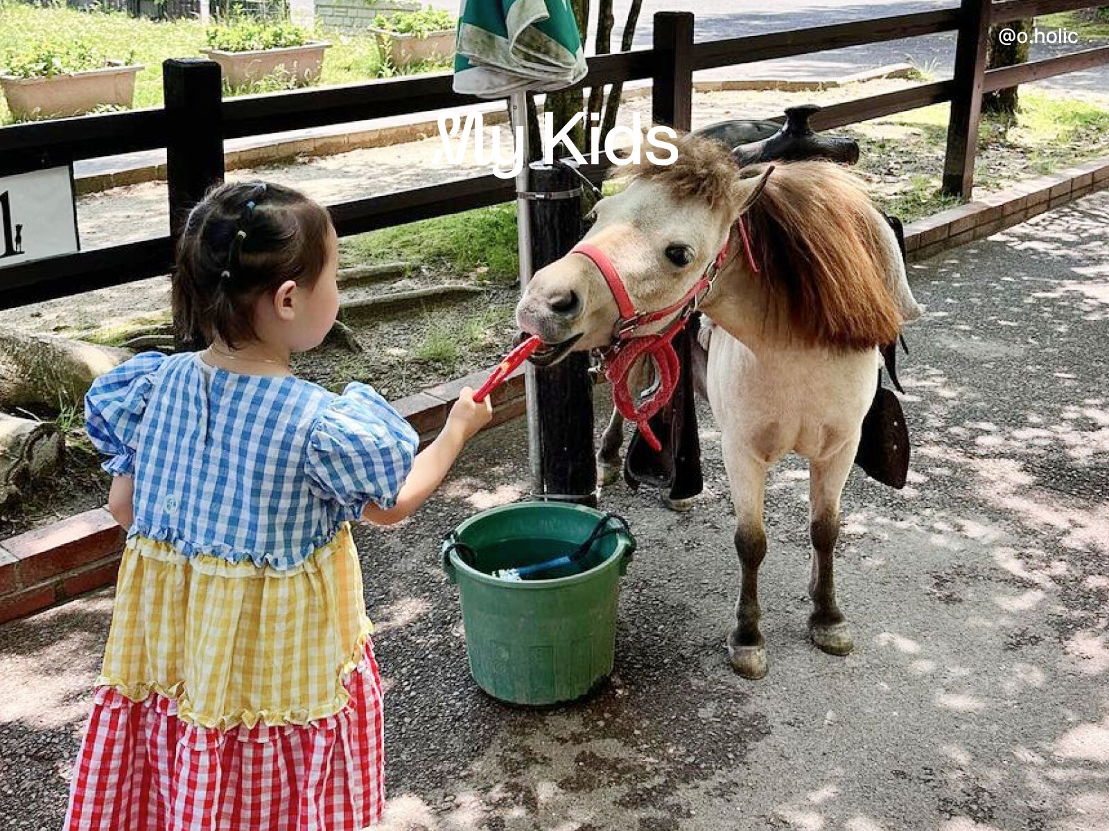 [후쿠오카]후쿠오카로 가는 아프리칸 사파리!  하카타 출발, 벳푸 원데이트립 
