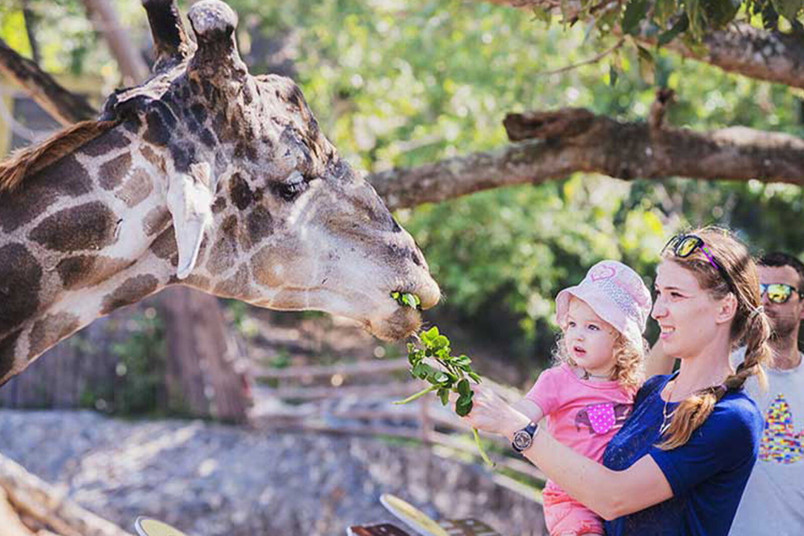 여행 상품 이미지