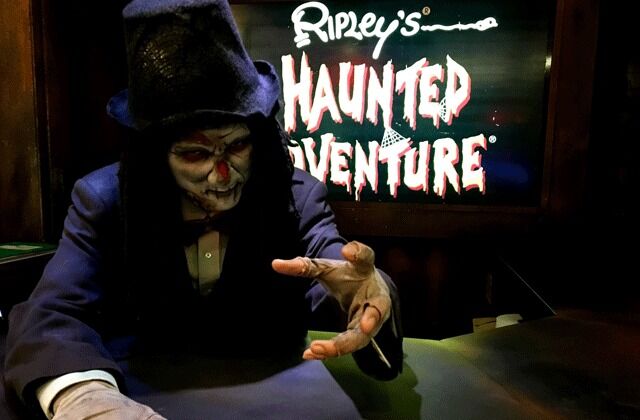 여행 상품 이미지