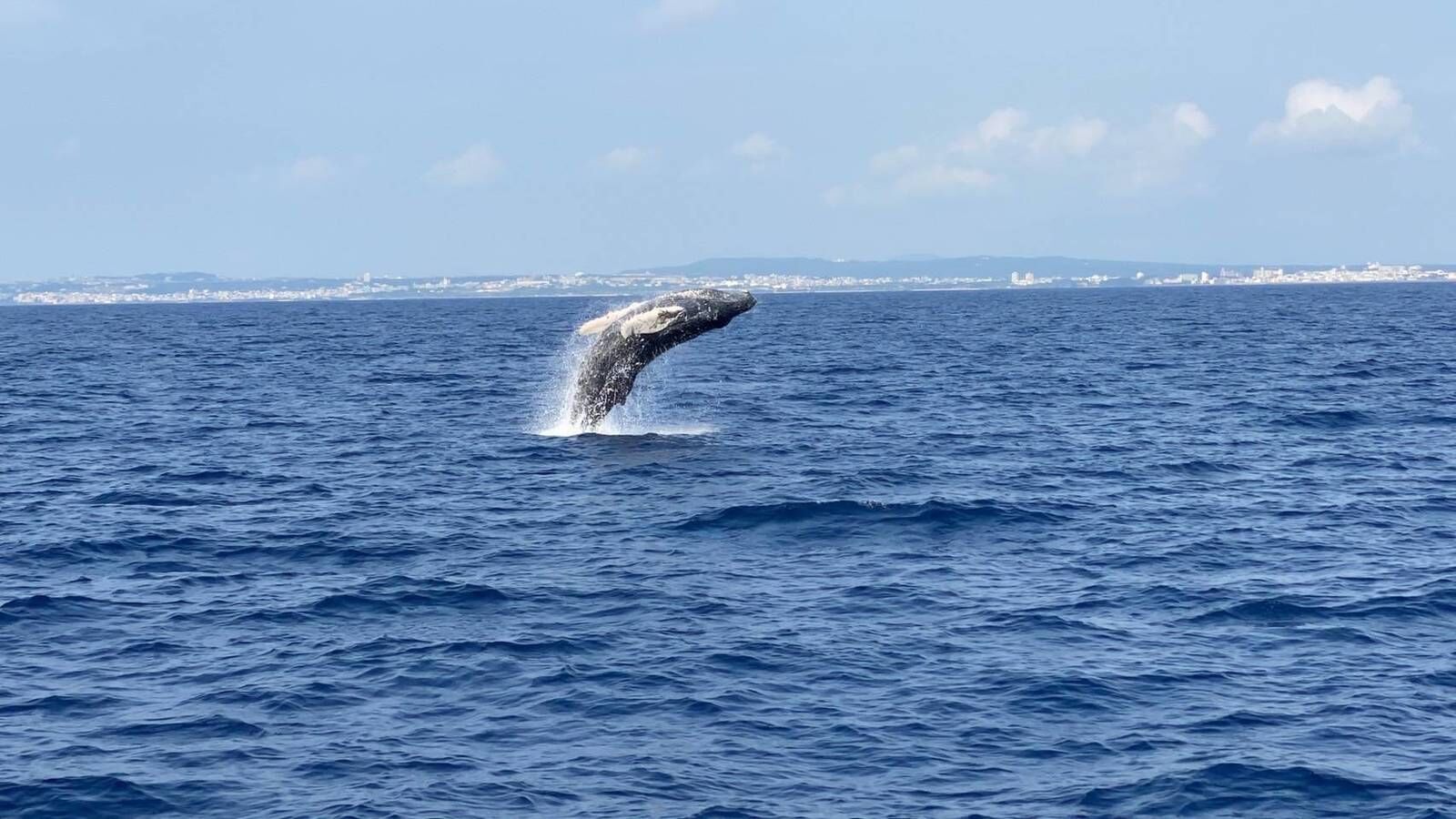 여행 상품 이미지