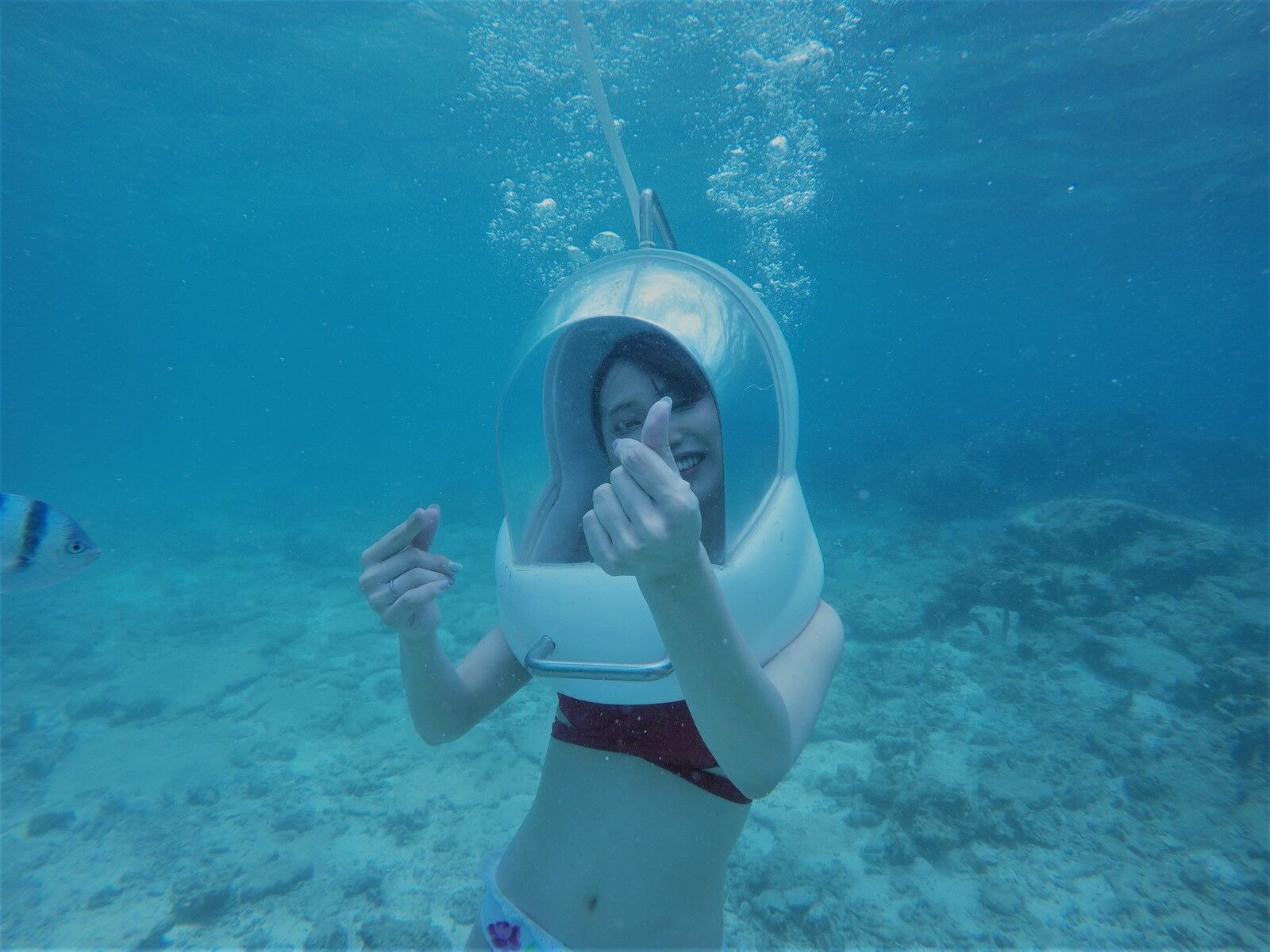 오키나와 마린워크