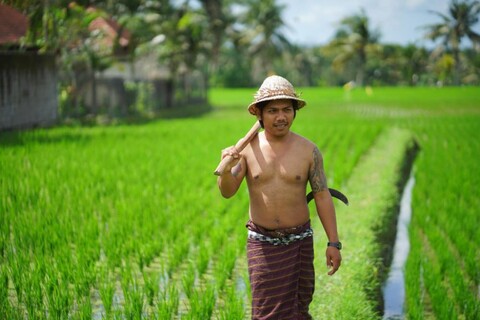 빌라 만디 리조트 앤 스파