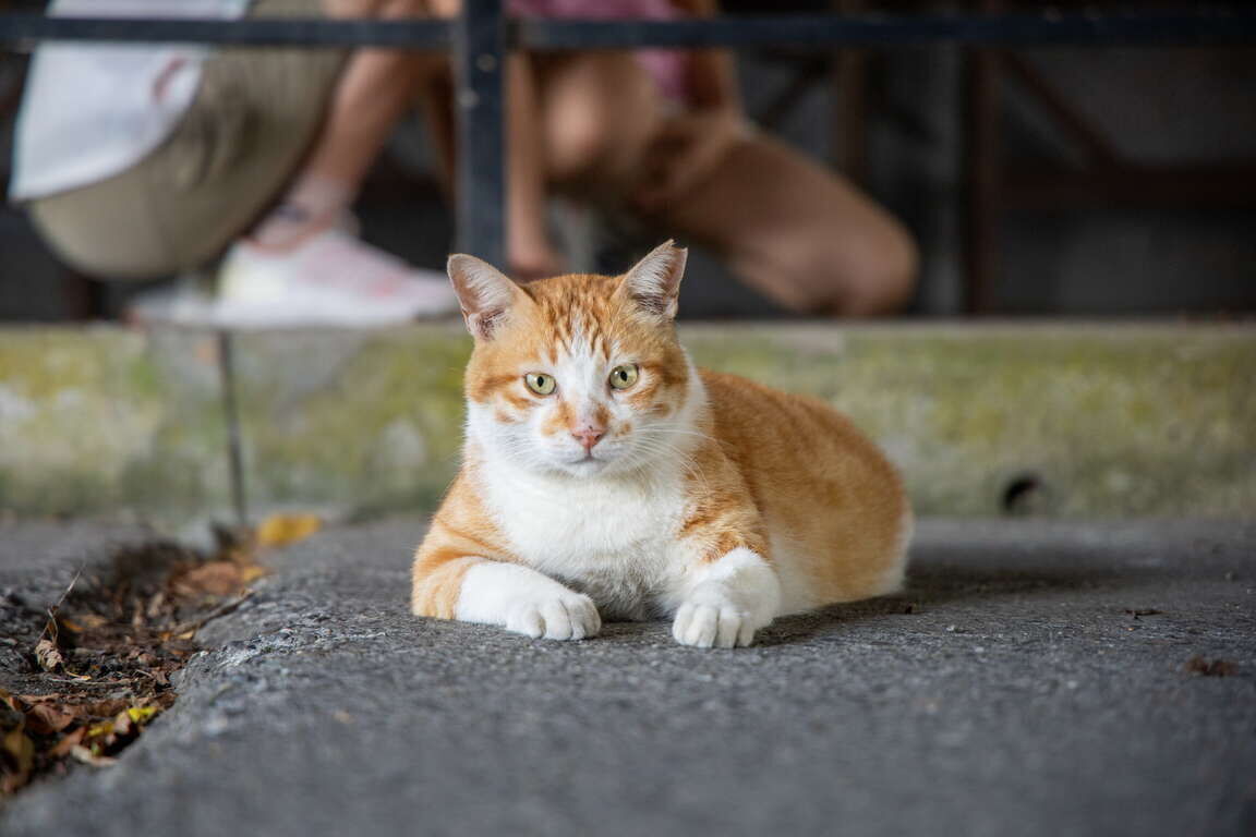 허우통 猴硐