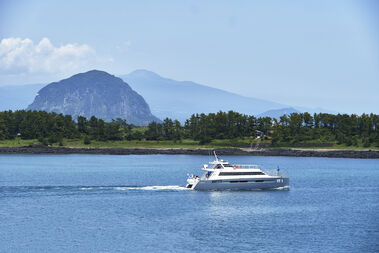 서귀포 돌고래 에코투어