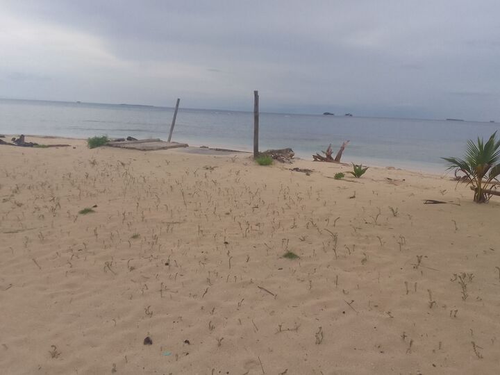산 블라스 투어 아리둡