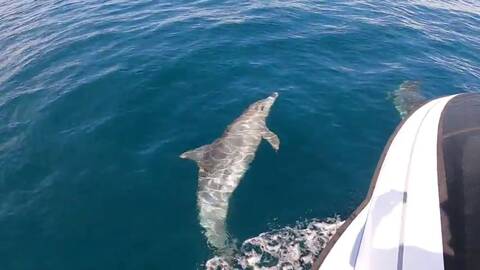 product-thumbnail-4
