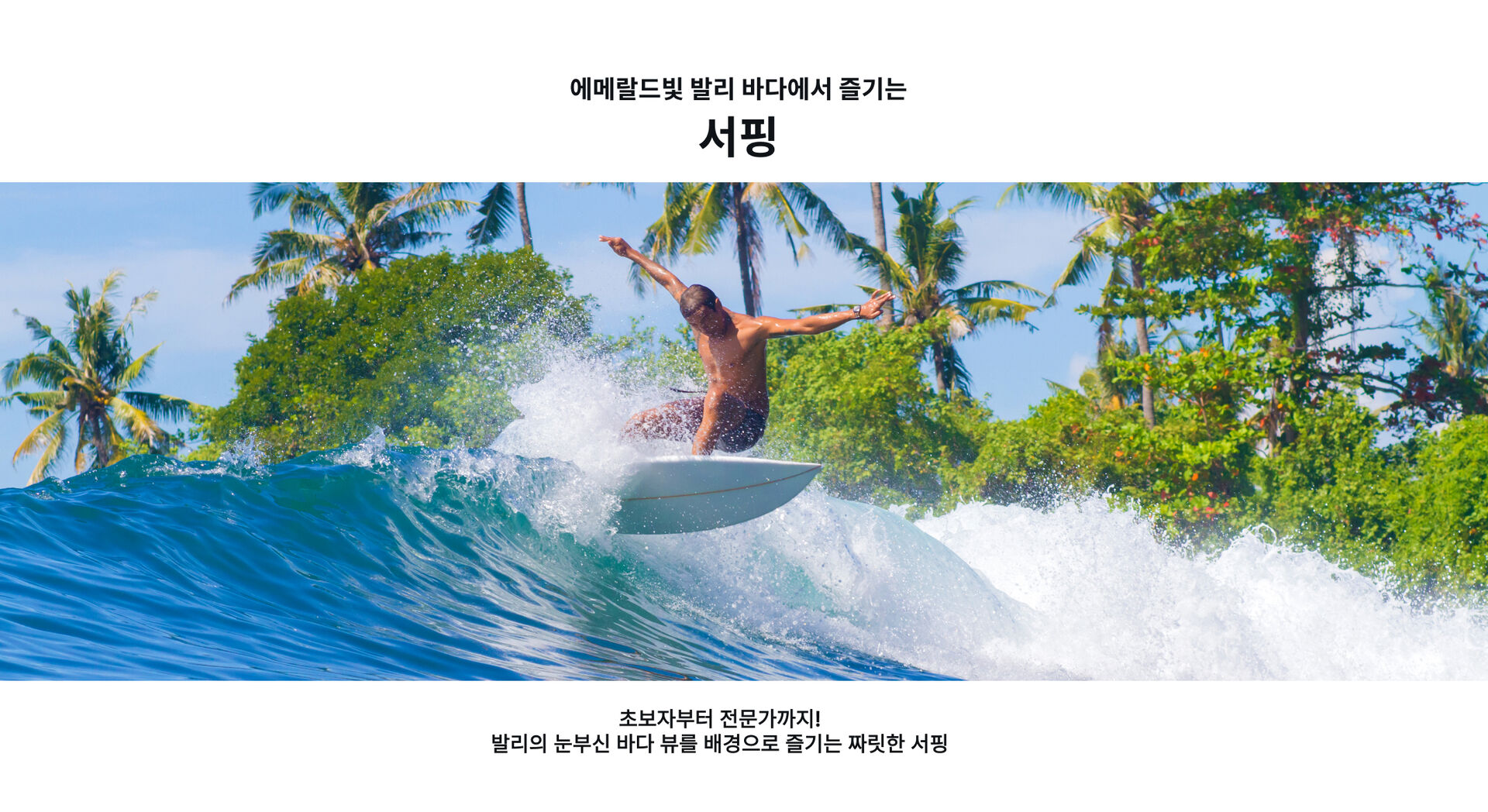 서핑.jpg