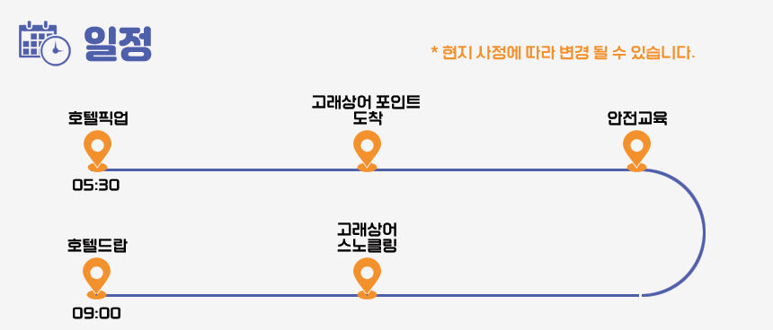 ★11월오픈예정★ [실속에실속]  보홀 고래상어 투어 (조인 단독 픽업 드랍 스노클링 호핑 상세 이미지 6