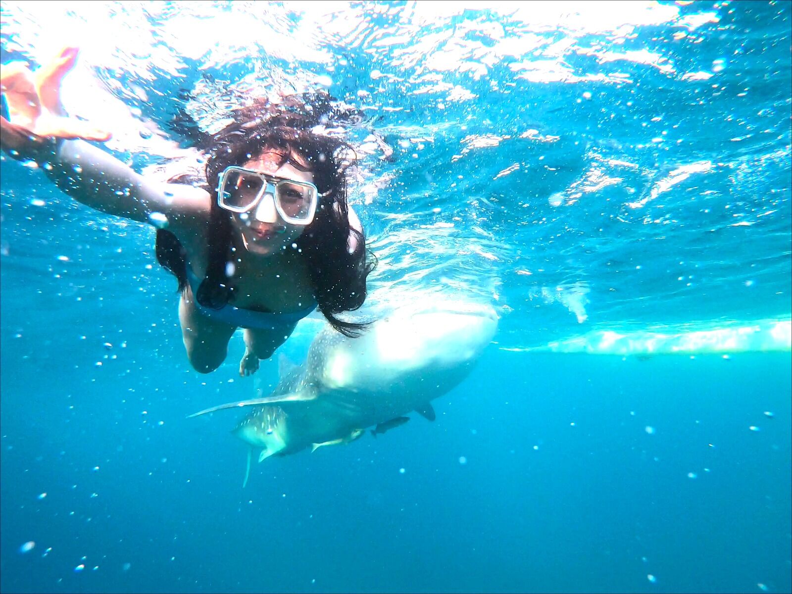 여행 상품 이미지