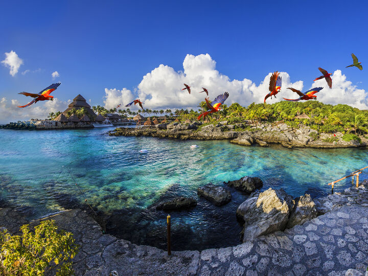 두 가지 파크 입장권 묶음! 교통포함! XELHA/XCARET/XPLOR/XENOTES -i