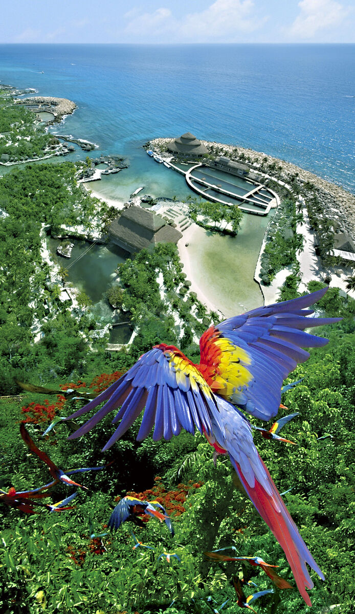 멕시코 칸쿤 No.1 자연 테마파크 스칼렛XCARET 입장권 [왕복교통 포함]-i