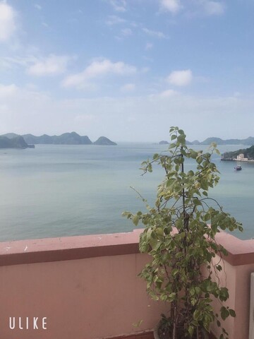 Thai bao seaview hotel 