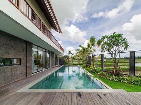 나샤 스타나 라이스필즈 뷰