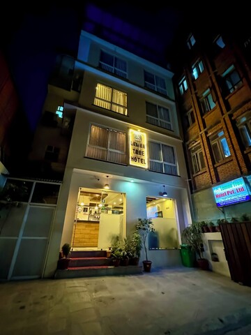 레몬 트리 호텔