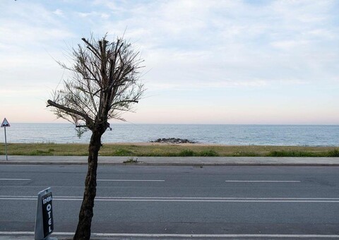 아이디얼 부티크 호텔