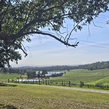 호주 시드니 헌터밸리 와이너리 (1+1매칭투어)