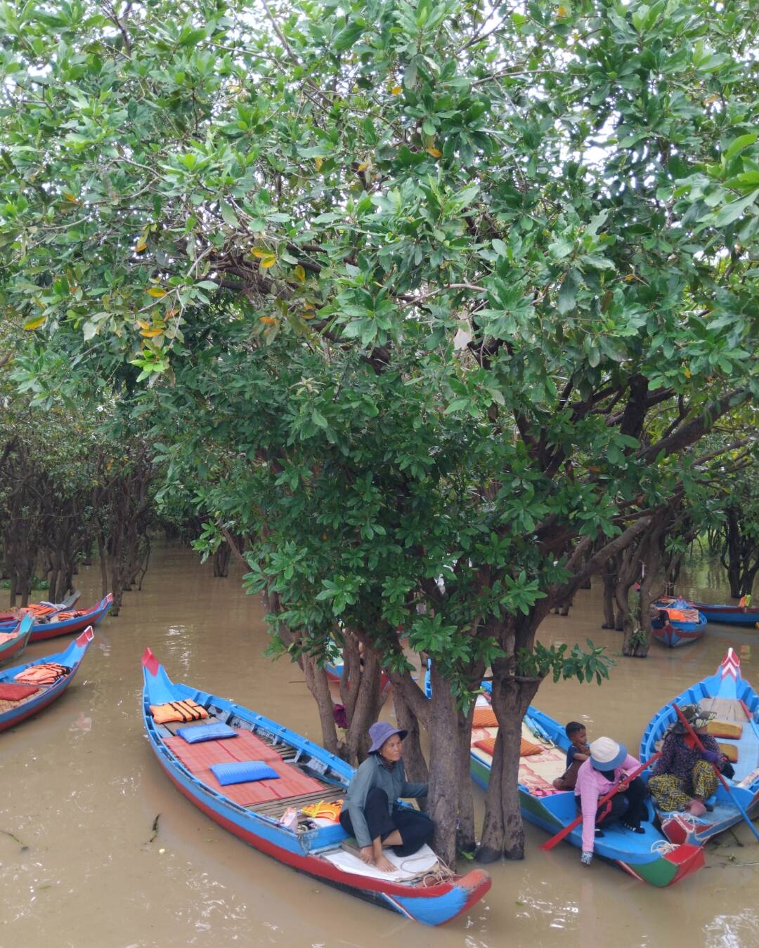 씨엠립, 프놈펜 외 4개-장소4