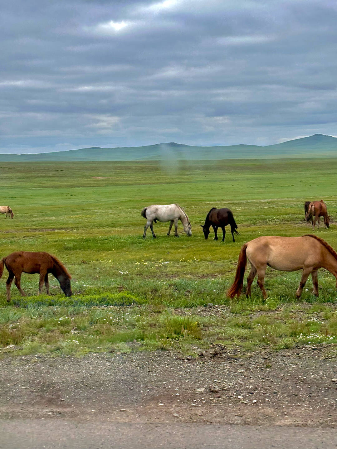 울란바토르, 테를지 외 1개-일정•경비1