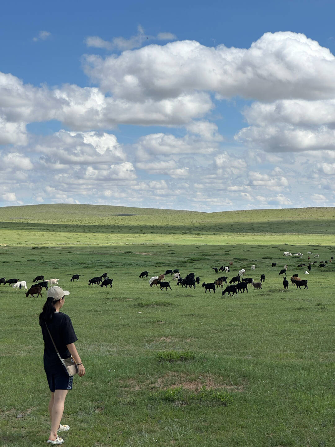 울란바토르, 테를지 외 1개-일정•경비5