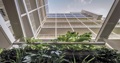 팔라초 비리디스