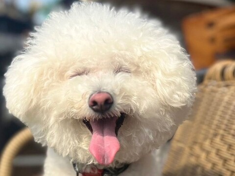 반 호텔 츠키지 긴자