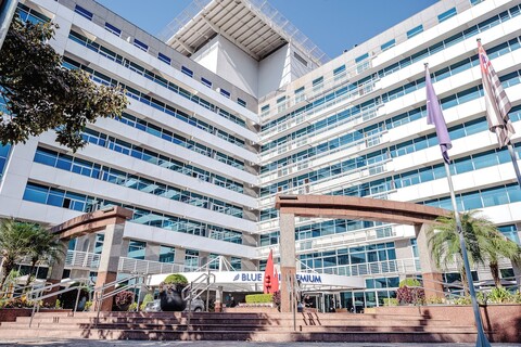 블루 트리 프리미엄 베르보 디비노