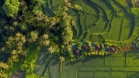 마다니 안티크 빌라