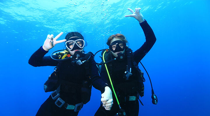 세부다이빙 뉴그랑블루 국립공원 체험다이빙(DISCOVER SCUBA DIVING)-i