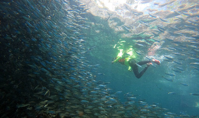 여행 상품 이미지