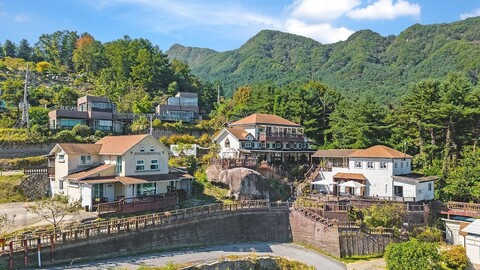 가평 보니따 애견동반 불멍 단체 펜션