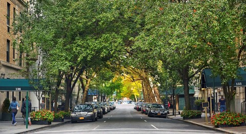 더 가든스 소네스타 ES 스위트 뉴욕