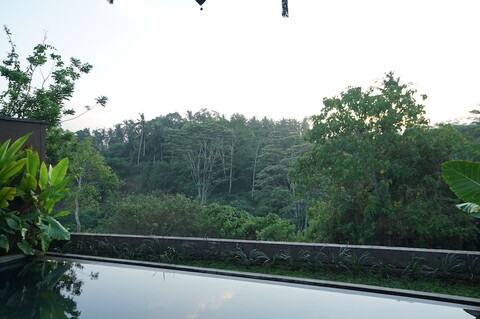 더 샨티 그라하 빌라스