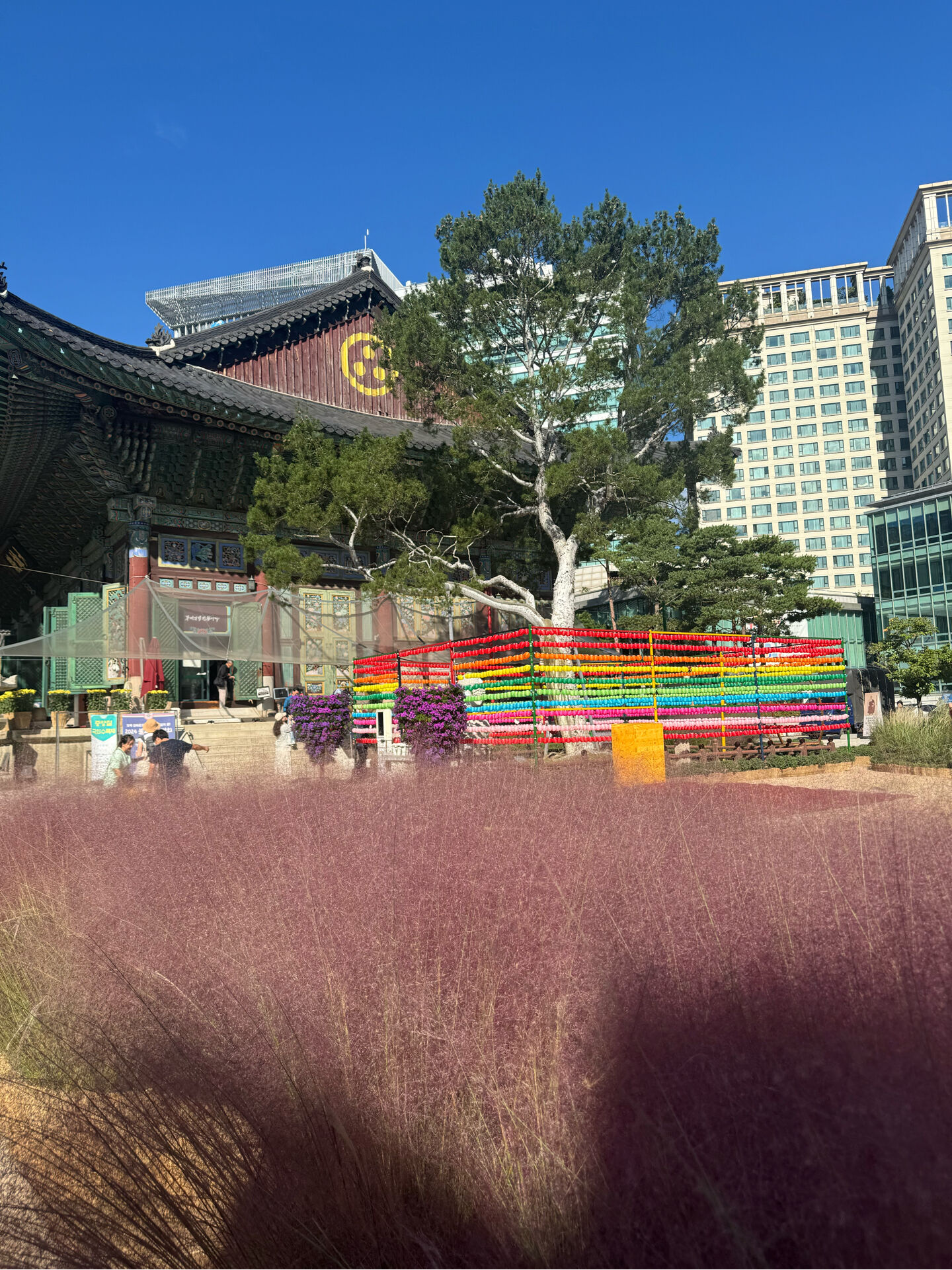 후기 사진