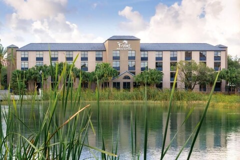 팔름스 인 & 스위츠