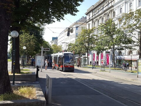 소비에스키 시티 센터 아파트