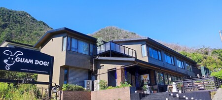 하코네고라 구암도그 혼텐